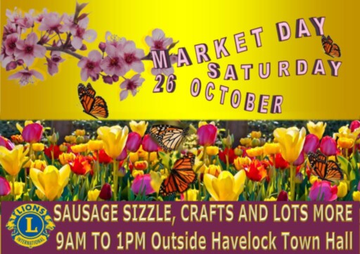 Havelock Lions Market for October Poster 26 October 2024
